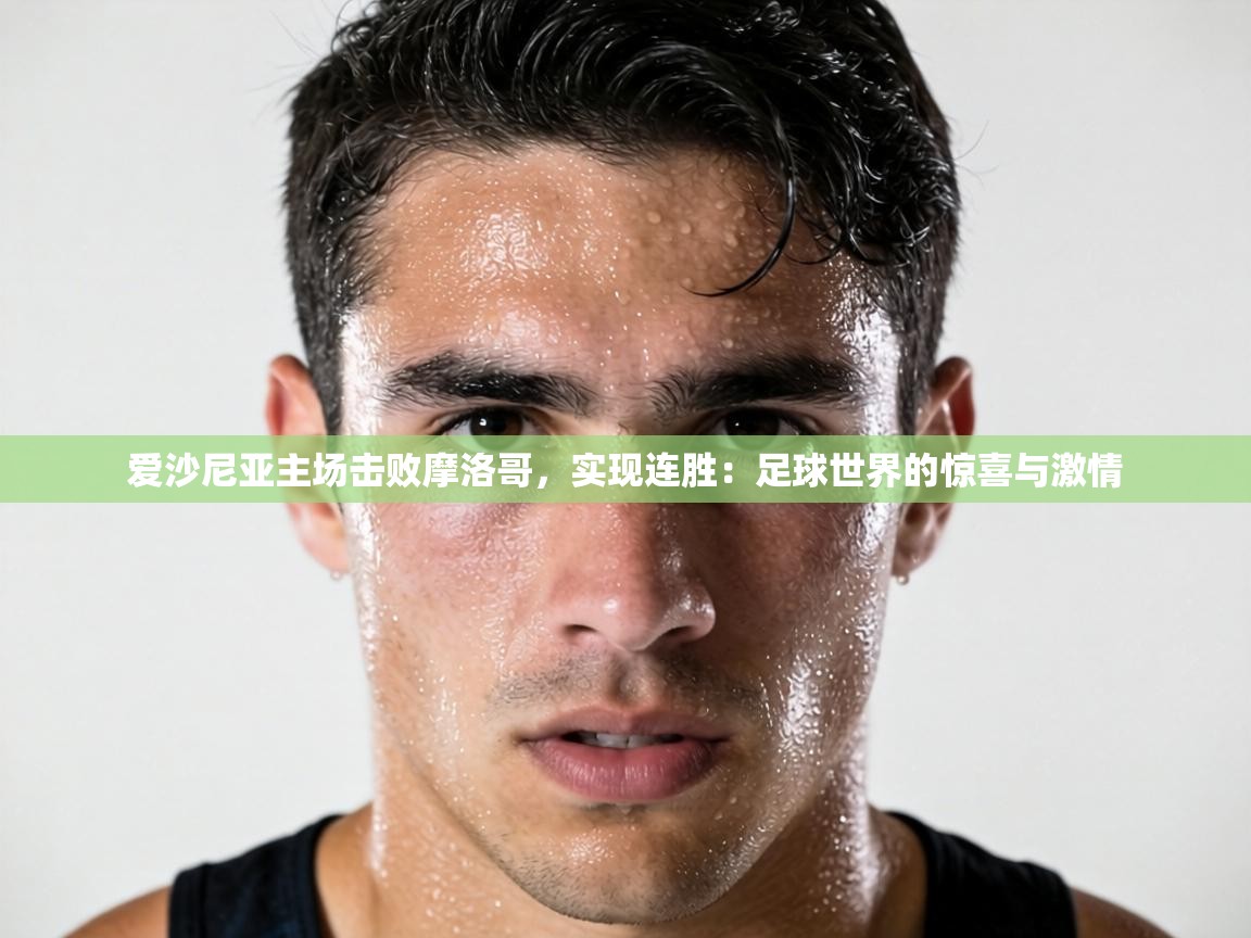 爱沙尼亚主场击败摩洛哥,实现连胜:足球世界的惊喜与激情 第1张